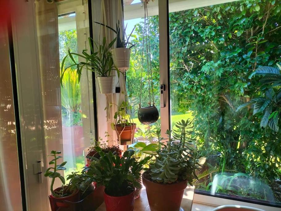 Casa Triana Βίλα Soure Εξωτερικό φωτογραφία